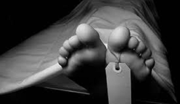 Worker dies after falling from tree in Chandpur