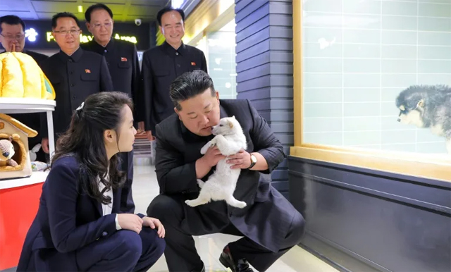 North Korea's Kim pets puppies, kittens at Pyongyang pet shop