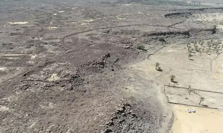 Saudi oasis town adjusts to life in the firing line