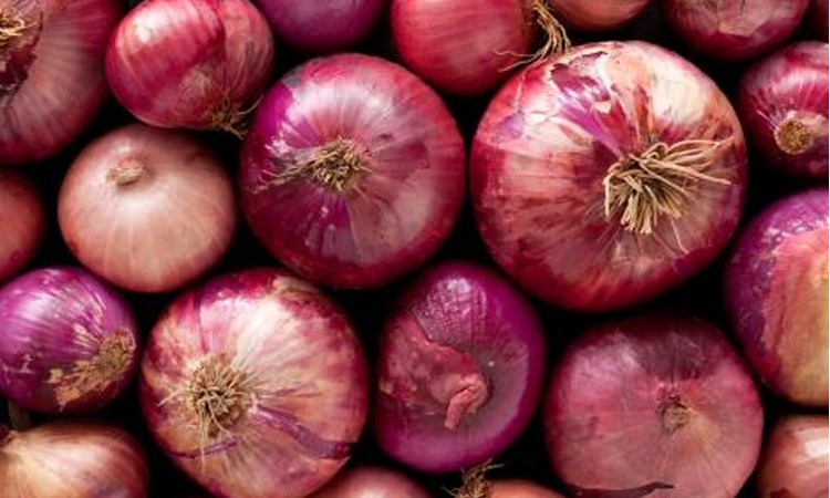 20 farmers to get air flow machines to preserve onion in Jamalpur