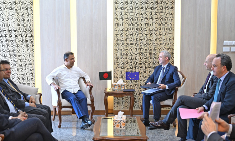 EU delegation calls on PM 