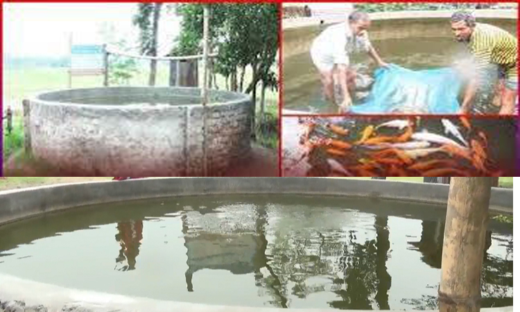 Fish farming in tanks gains popularity in Dinajpur