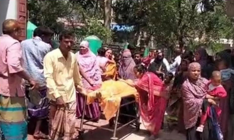 Girl dies of snakebite in Satkhira