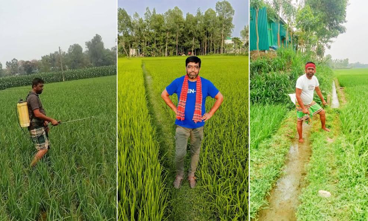 Tangail farmer Kabir receives 'Farmer Card' following due process