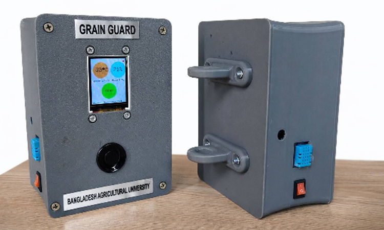 BAU scientist develops chemical-free solution to safeguard stored rice from insects