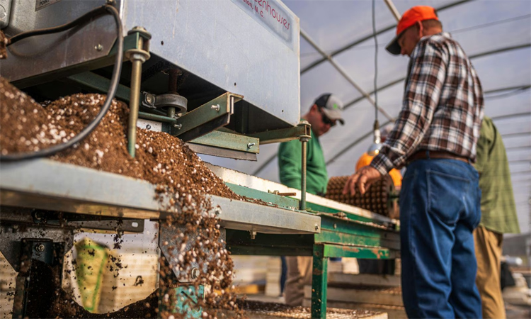 India fertiliser output drops a quarter on Mideast war