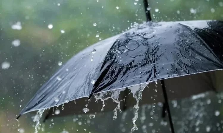 Met office predicts rain