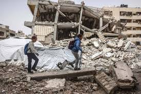 Rats, fleas plague Gaza's displaced as temperatures rise