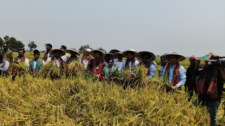 Boro paddy procurement begins in Chalan Beel