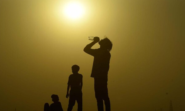 Heatwave to continue for 4 to 5 days, Rajshahi experiencing most 