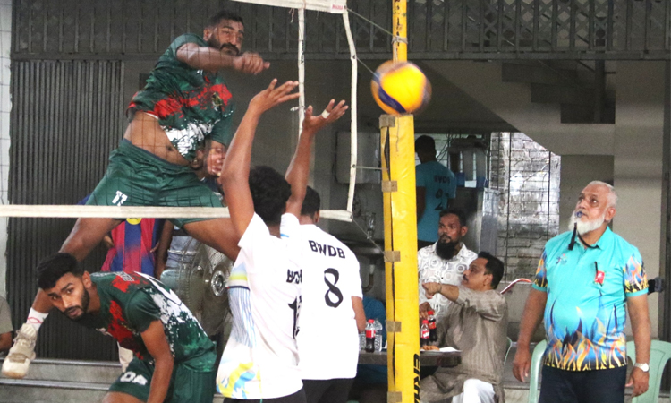 Air Force, Army reach final 