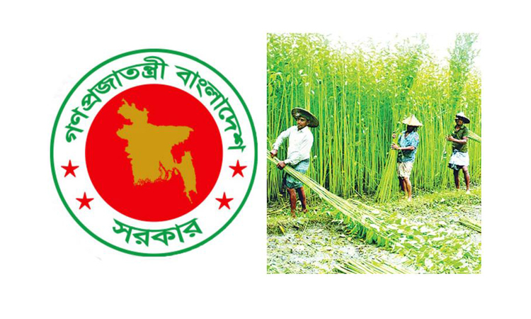 Govt takes multi-dimensional plan to boost jute production: Minister 