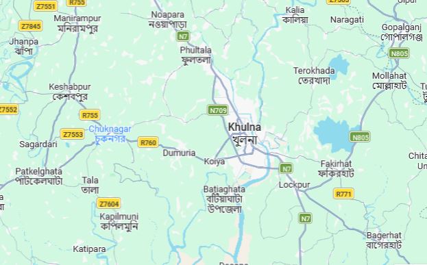 Elder brother dies after being pushed by younger brother in Paikgachha