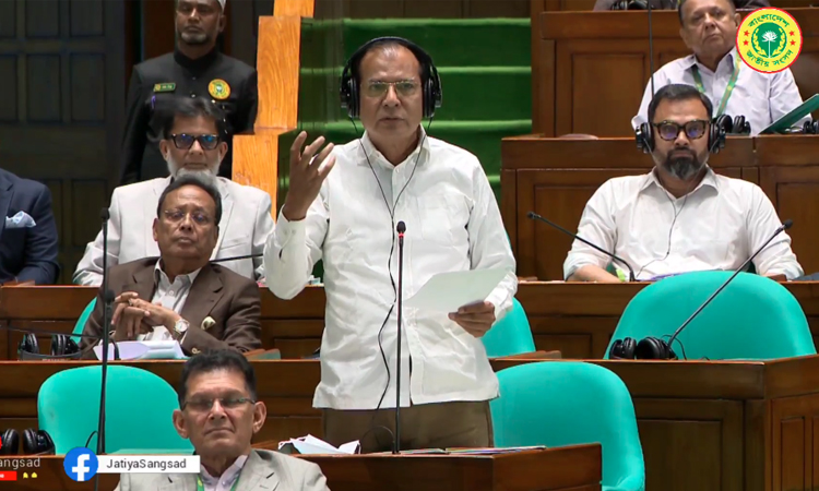 Govt to take action plan to curb damages of lightning: Dulu