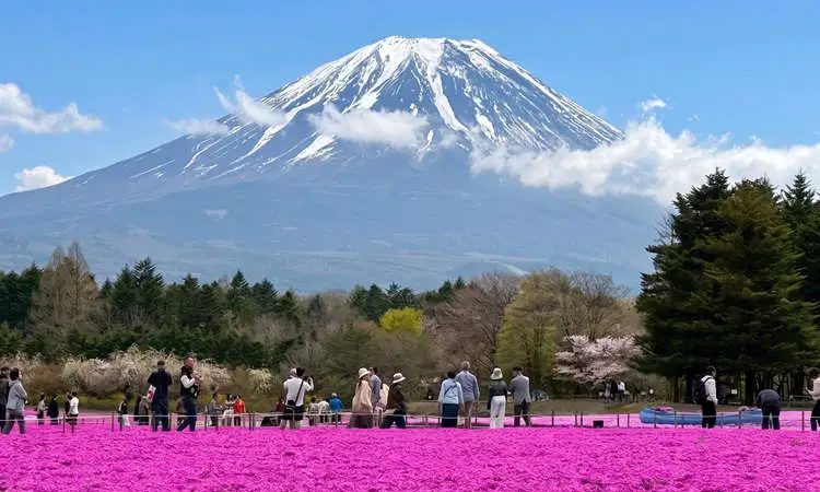 Mountain festival marks spring arrival high above Tokyo