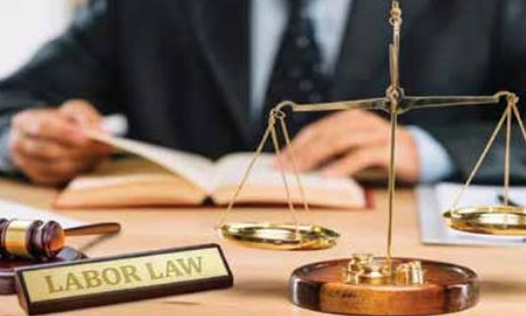 Workers' documents prove decisive, 80pc arbitration cases won