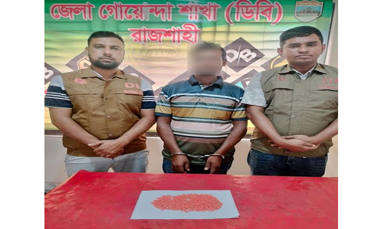DB arrests one with 1,000 yaba pills in Rajshahi 