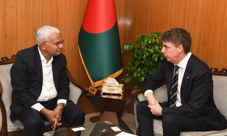 Swede envoy discusses social welfare, gender issues with Zahid