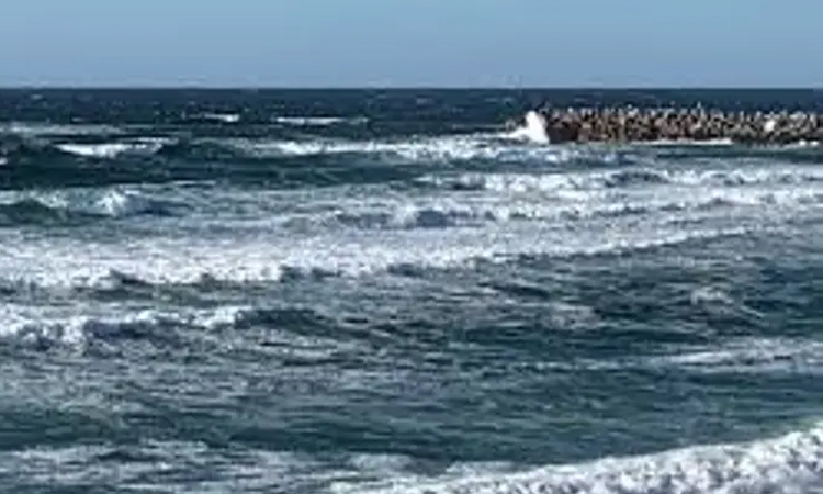 Two rescuers among three killed in rough seas off Australia