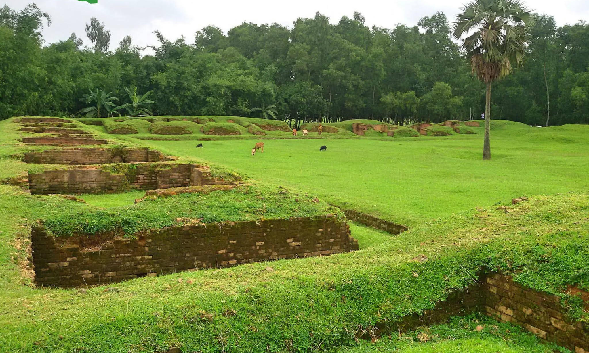 Lost heritage unearthed: Sitakot Bihar echoes centuries of history