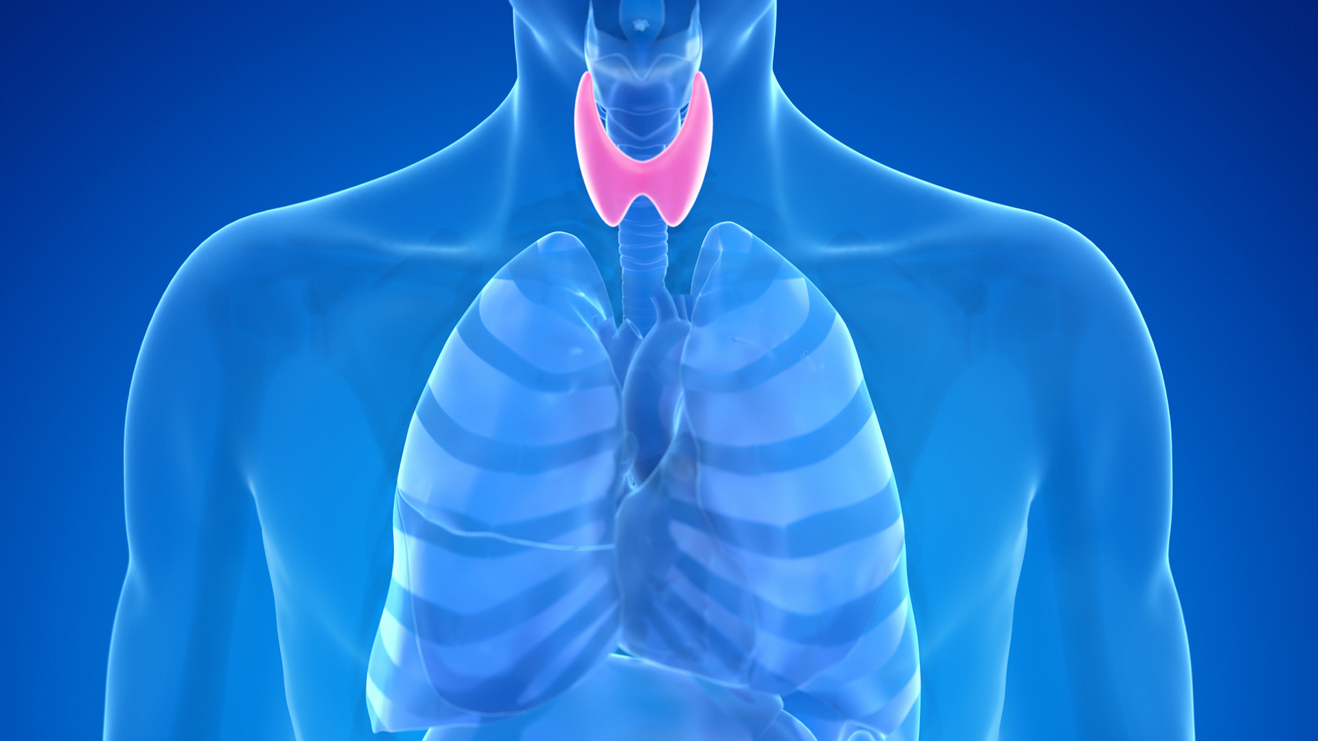 Thyroid Fair begins in Dhaka ahead of World Thyroid Day