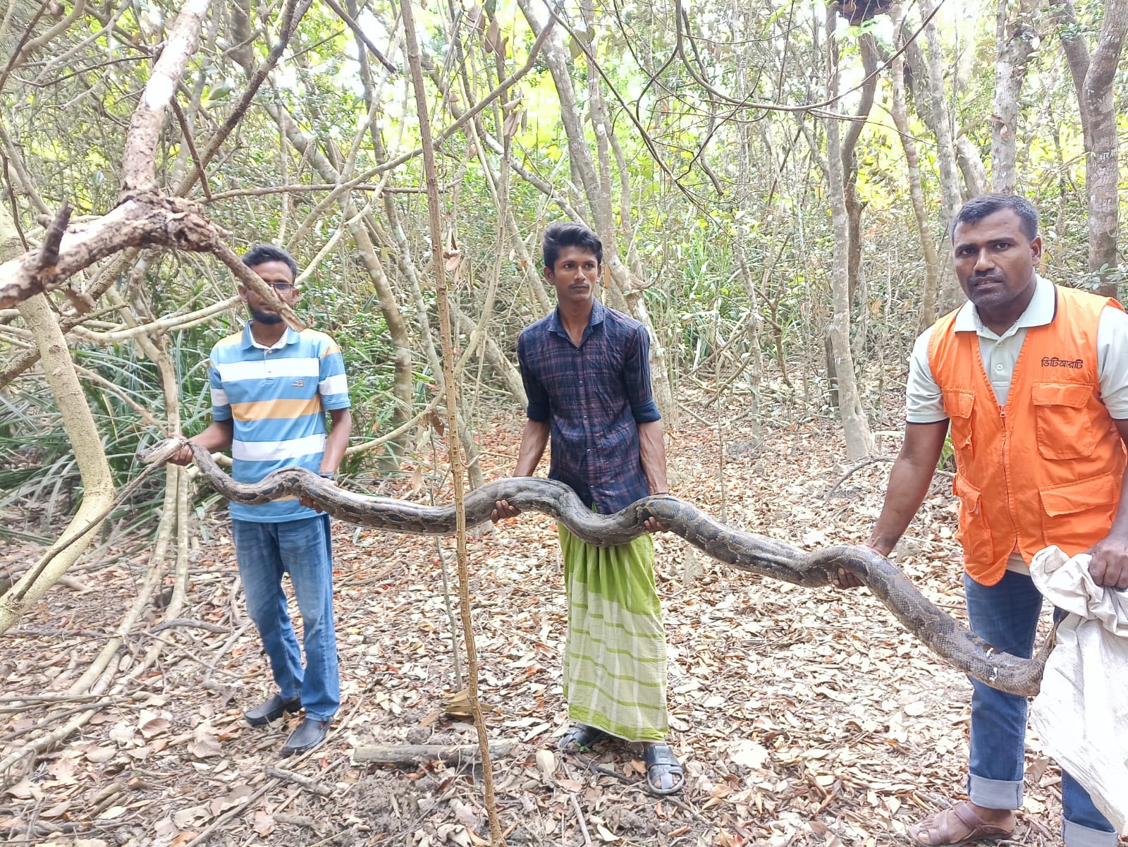 Python released into forest after rescue from residential area in Shoronkhola
