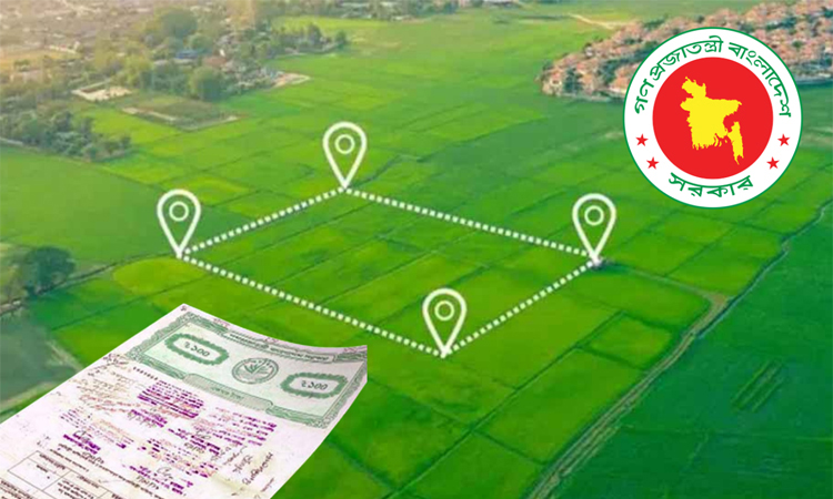 Digitization transforms land services, curbs broker dominance