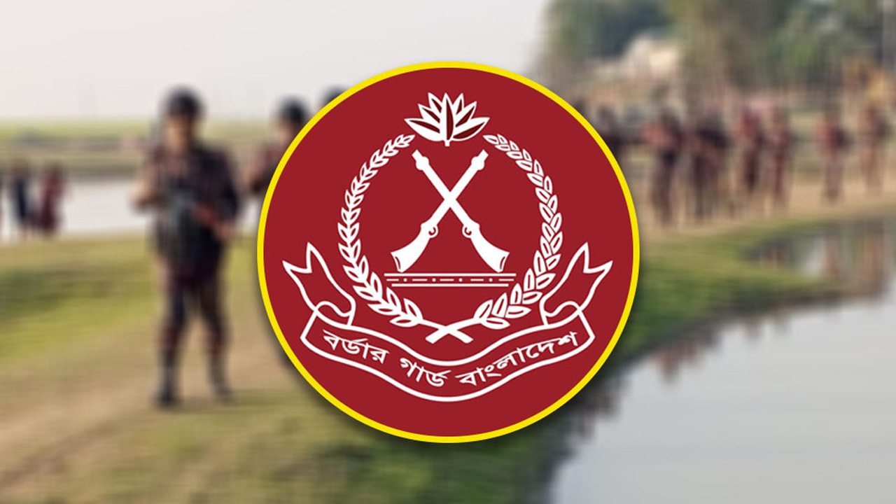BGB seizes smuggled goods Worth Tk 48.83 lakh in Feni