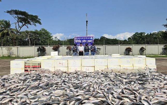 Sea fish worth over Tk 1cr seized in Bhola