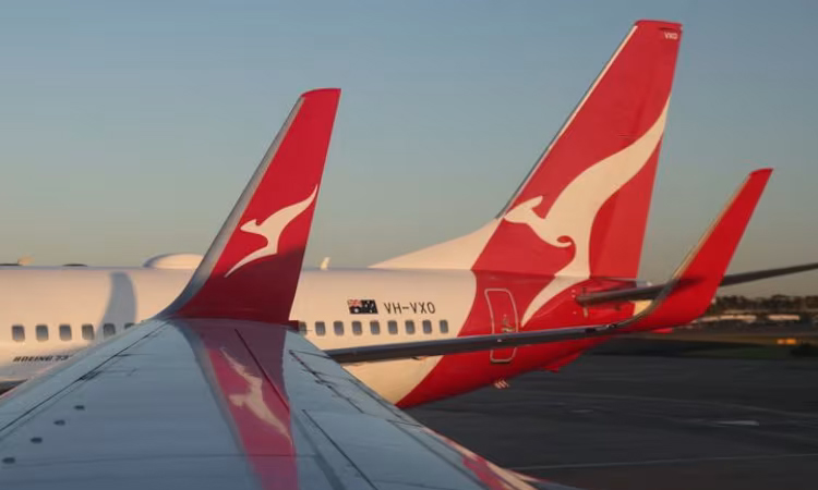 Qantas flight diverted after man bites flight attendant