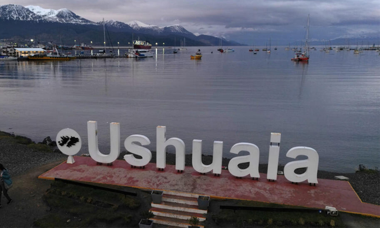 In Tierra del Fuego, a hunt for the rodent carrier of hantavirus