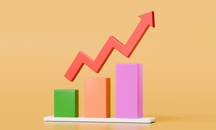 Experts for trustworthy financial reporting to strengthen economic growth
