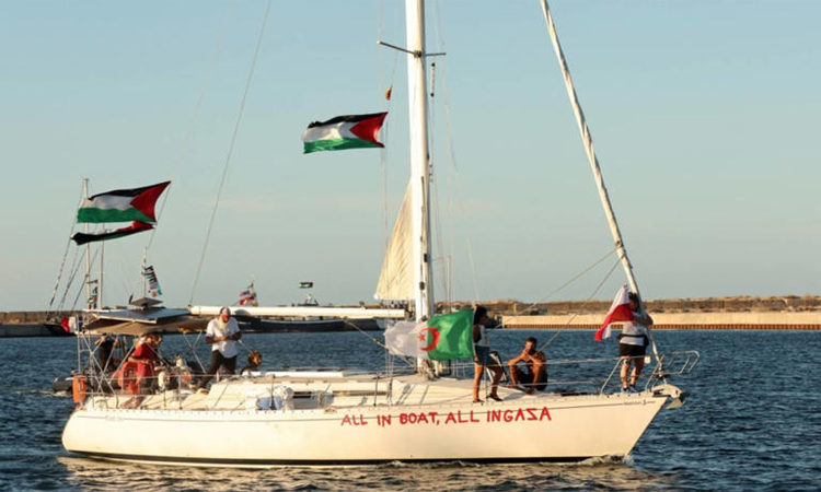 NZ airs 'grave concerns' over treatment of flotilla activists