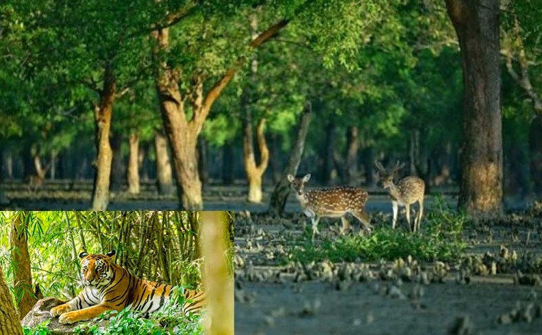 International Day for Biological Diversity tomorrow 