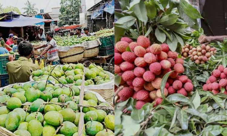 Mango, litchi flooded in Khulna markets
