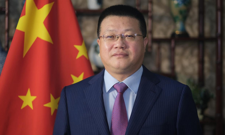 FM's Beijing visit boosts Belt-Road cooperation ties, Chinese envoy