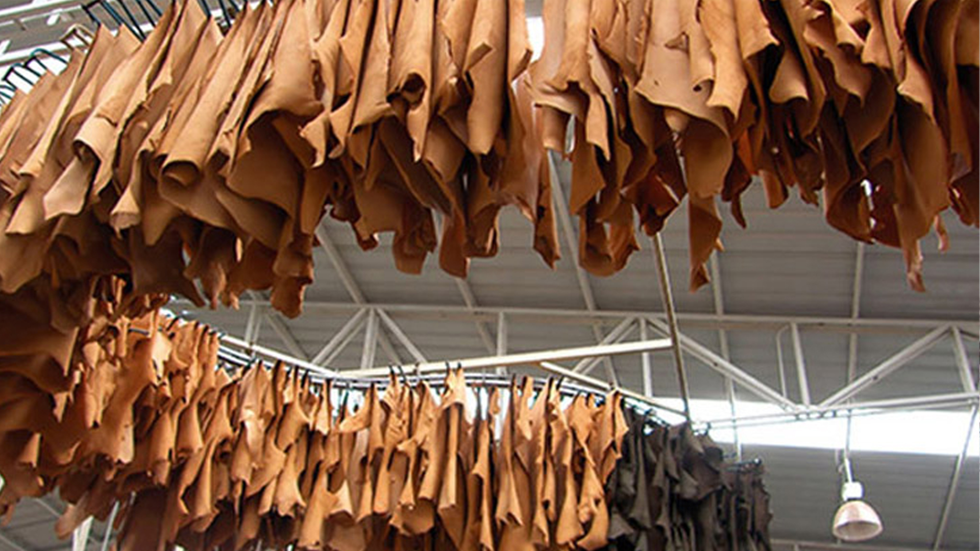LIDFB for Int'l marketing, modern collection centers to revive leather sector 