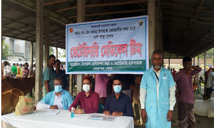 Medical teams deployed at cattle markets in Sherpur