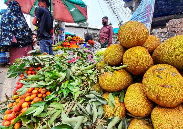 Lalmonirhat fruit market buzzes as seasonal fruits arrive