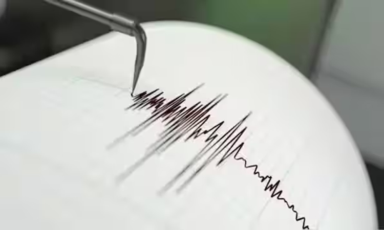 Strong earthquake hits Chile, no injuries reported