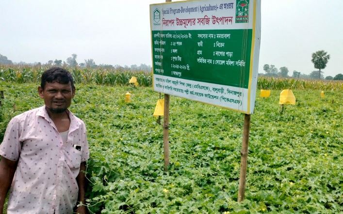Farmers succeed in poison-free vegetable cultivation in Dinajpur