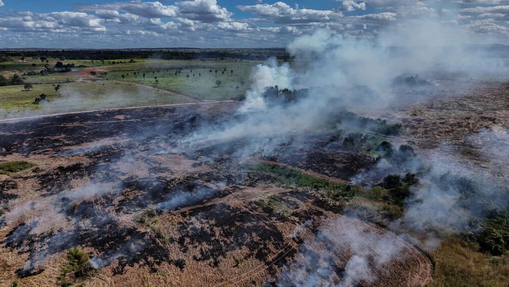Deforestation in Brazil's Amazon drops to lowest level since 2019