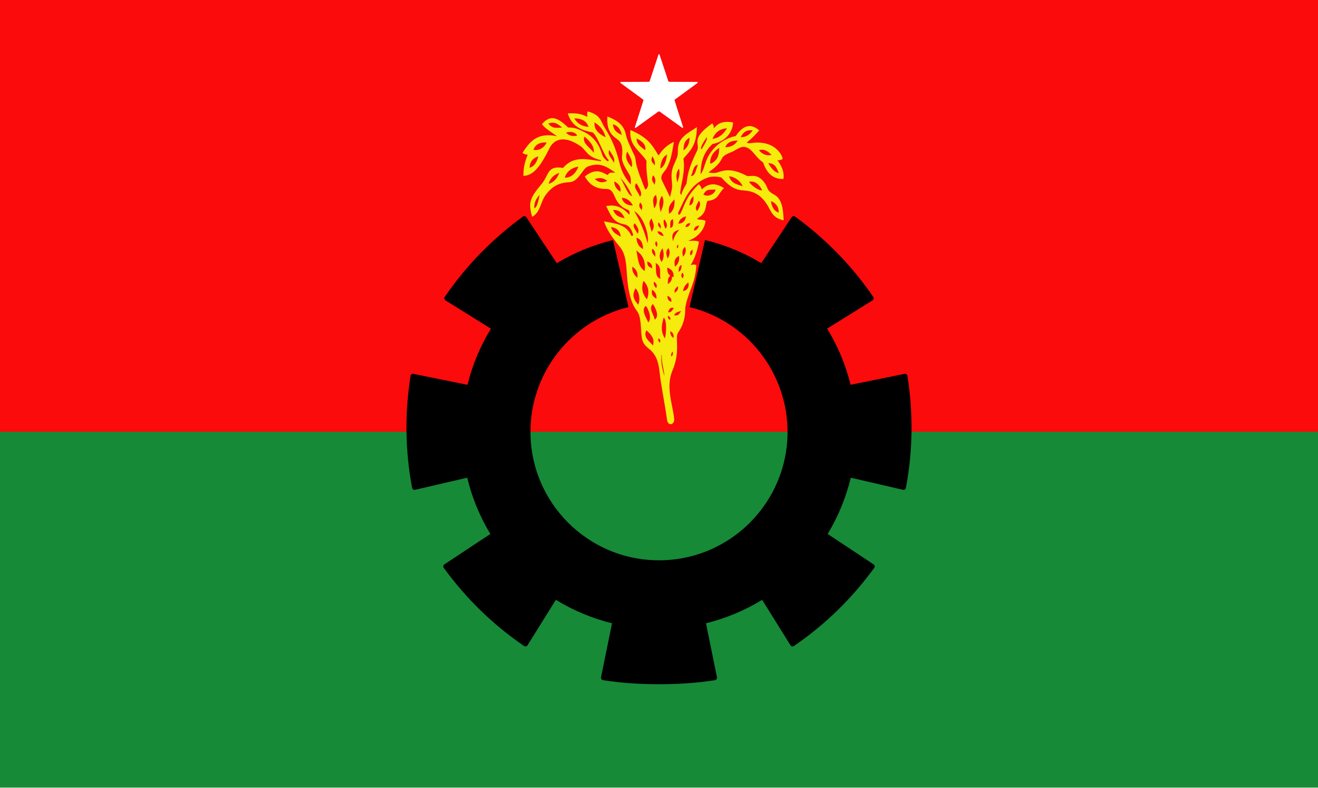 BNP takes elaborate programmes marking Ziaur Rahman’s 45th martyrdom anniversary