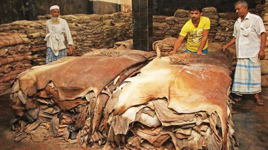 VDP steps in to preserve rawhides to protect national resources