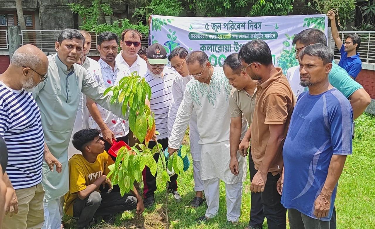 Tree plantation stressed to protect environment, combat climate change