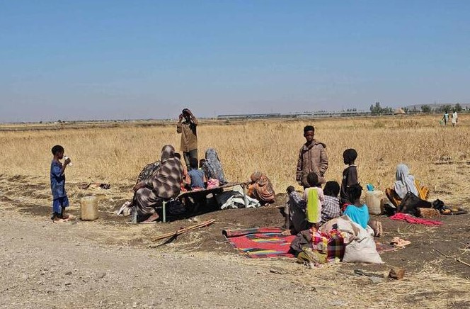 Drone strikes kill 67 in Sudan's Kordofan: rights group, local leader