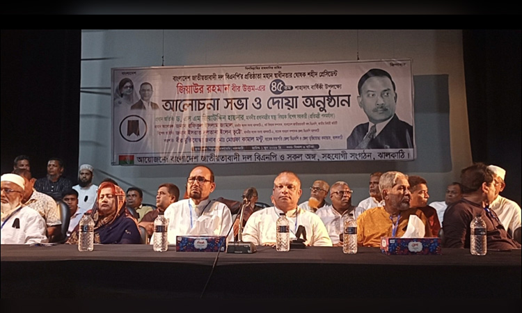 Ziaur Rahman introduced multi-party democracy: Ziauddin Hyder