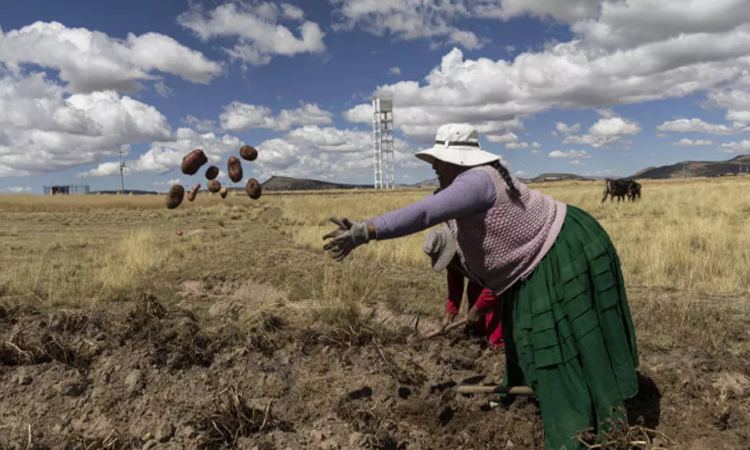 In Peru's highlands, hopelessness shapes a bitter presidential runoff