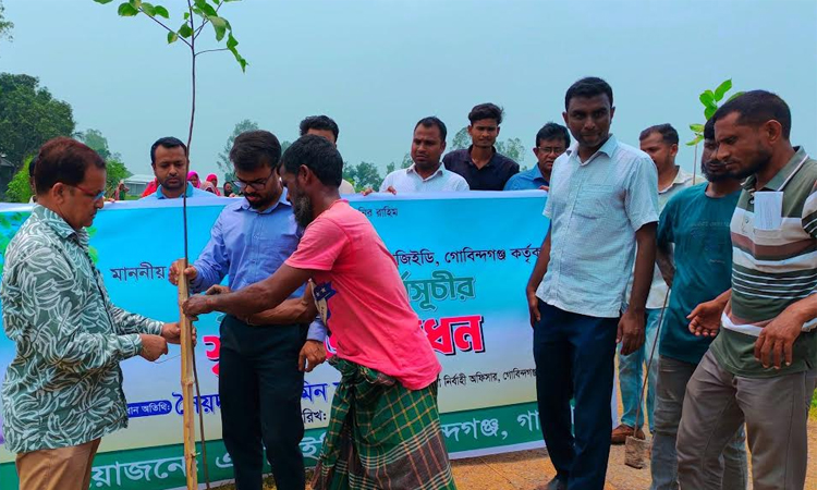 Tree plantation programme launched in Gobindaganj