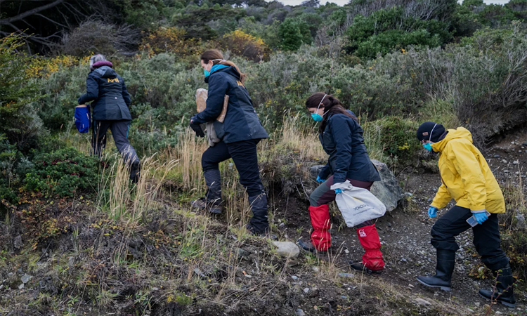 Argentina to expand hantavirus search to a second province